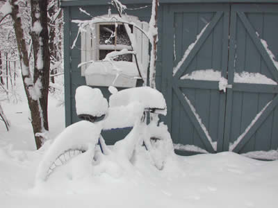 A bike parked in front of a small tool shed, all covered with snow.